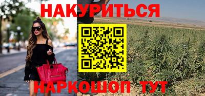 шишки Партизанск