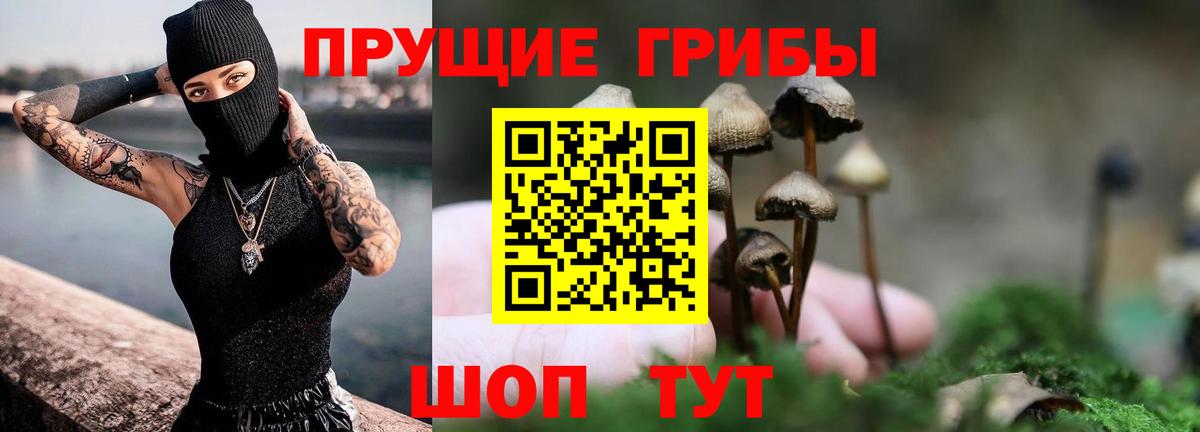 Псилоцибиновые грибы GOLDEN TEACHER Норильск